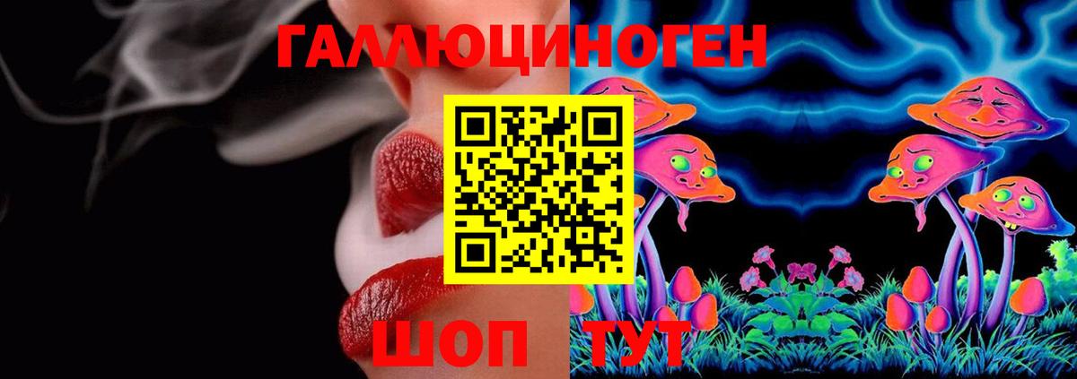 Псилоцибиновые грибы Cubensis Вятские Поляны
